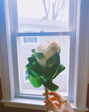 Bridgit Mendler Instagram - Rose/cabbage... may your Valentine’s Day be nutritious 💜