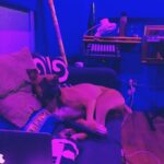 Bridgit Mendler Instagram - When the artist ponders her muse 🎨
