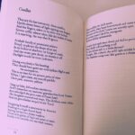 Bridgit Mendler Instagram - Sylvia Plath is one of my favorite poets. I skim a poem first to see if it grabs me and her work usually does. Then it takes another 15 reads before I start to understand what she is really talking about haha