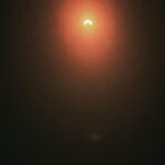 Brie Larson Instagram – Eclipse gazing with pup 💛