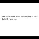 Brittany Furlan Instagram - 2024- şąɱę ɱę ɓųţ şɭįɠђţɭƴ wǫŗşę