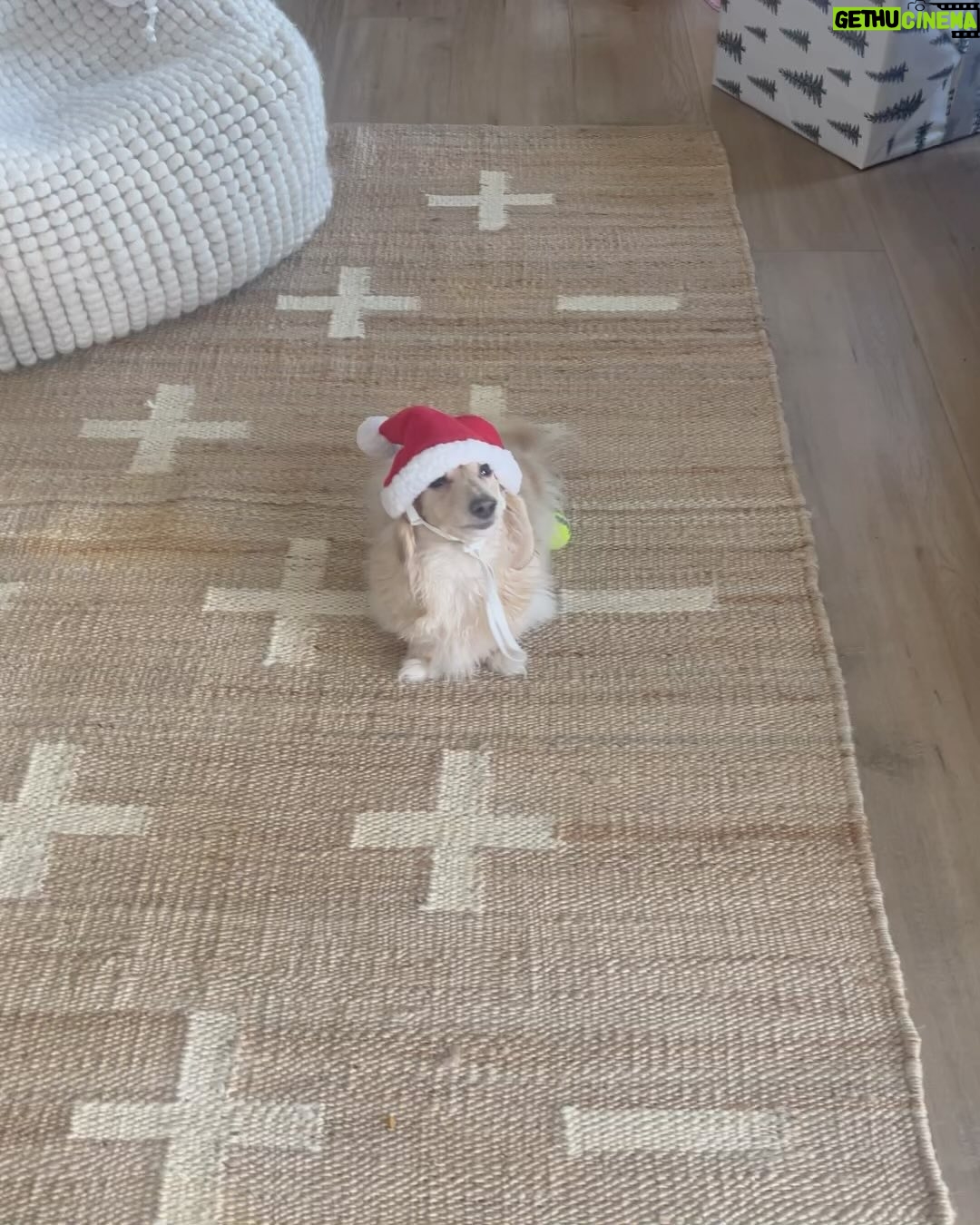 Brittany Furlan Instagram - Hope you have a beautiful holiday 🎄 from us freaks