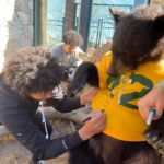 Brittney Griner Instagram – A special autograph for two very special cubs ❤️

#SicEm