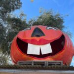 Brooke Elizabeth Butler Instagram – let’s make pumpkin patches a year round thing