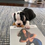 Brooke Shields Instagram – Lately… it’s mostly Tuzi ☀️🐾🍯💛