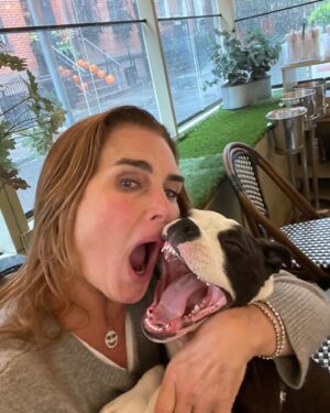 Brooke Shields Instagram - My daughter 🥹🐾