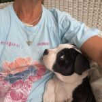 Brooke Shields Instagram - Happy #NationalDogDay to you!!!