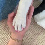 Brooke Shields Instagram - Happy #NationalDogDay to you!!!