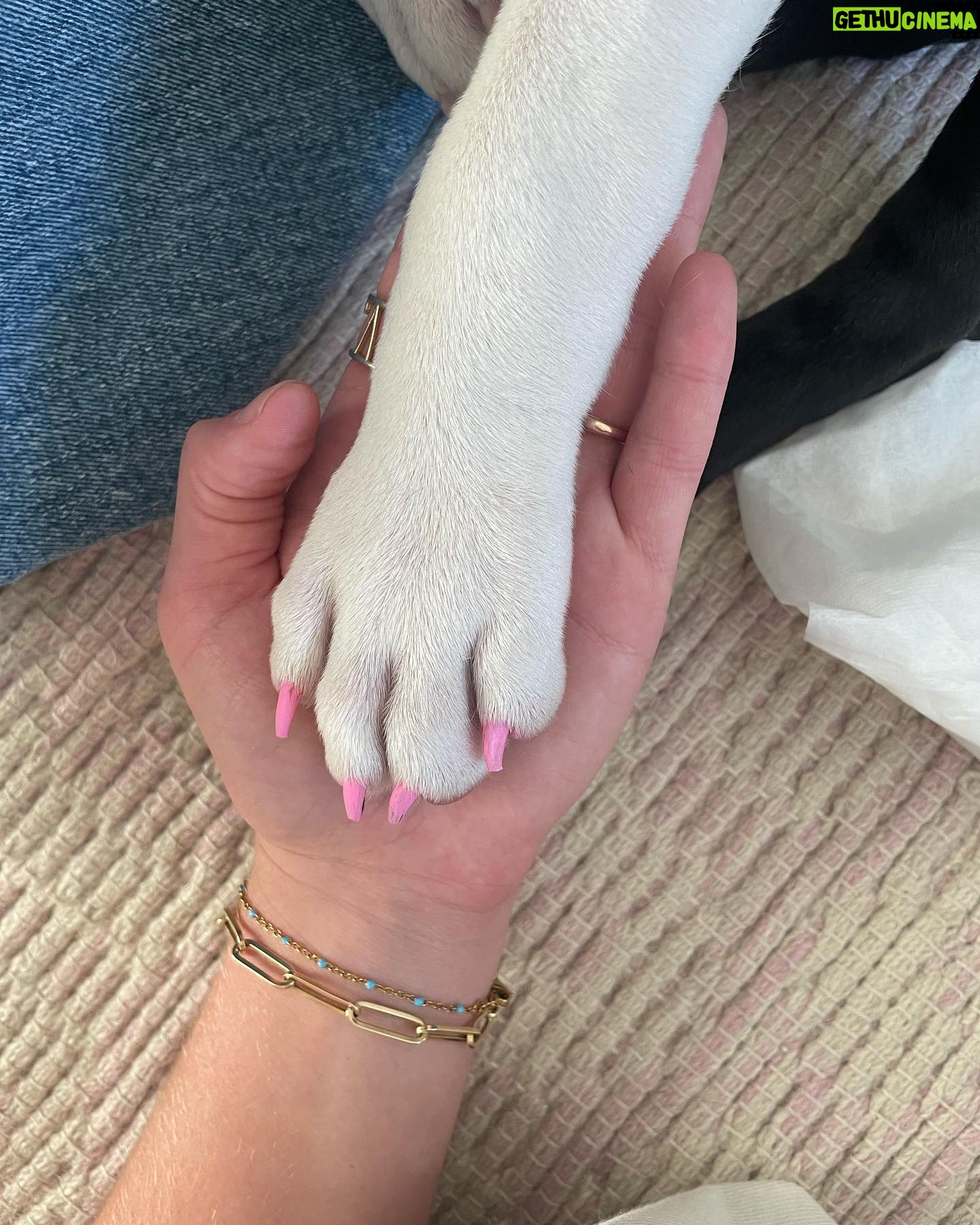 Brooke Shields Instagram - Happy #NationalDogDay to you!!!