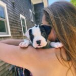 Brooke Shields Instagram – World, meet Tuzi. 
Tuzi, meet world. 
You know we couldn’t go long without puppy love in our house. 
🐾🥹🐶🩷