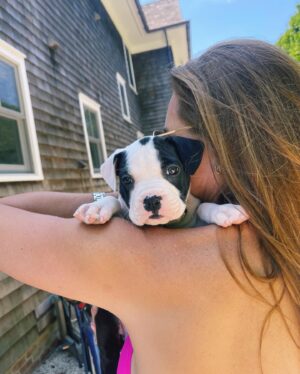 Brooke Shields Instagram - World, meet Tuzi. 
Tuzi, meet world. 
You know we couldn’t go long without puppy love in our house. 
🐾🥹🐶🩷