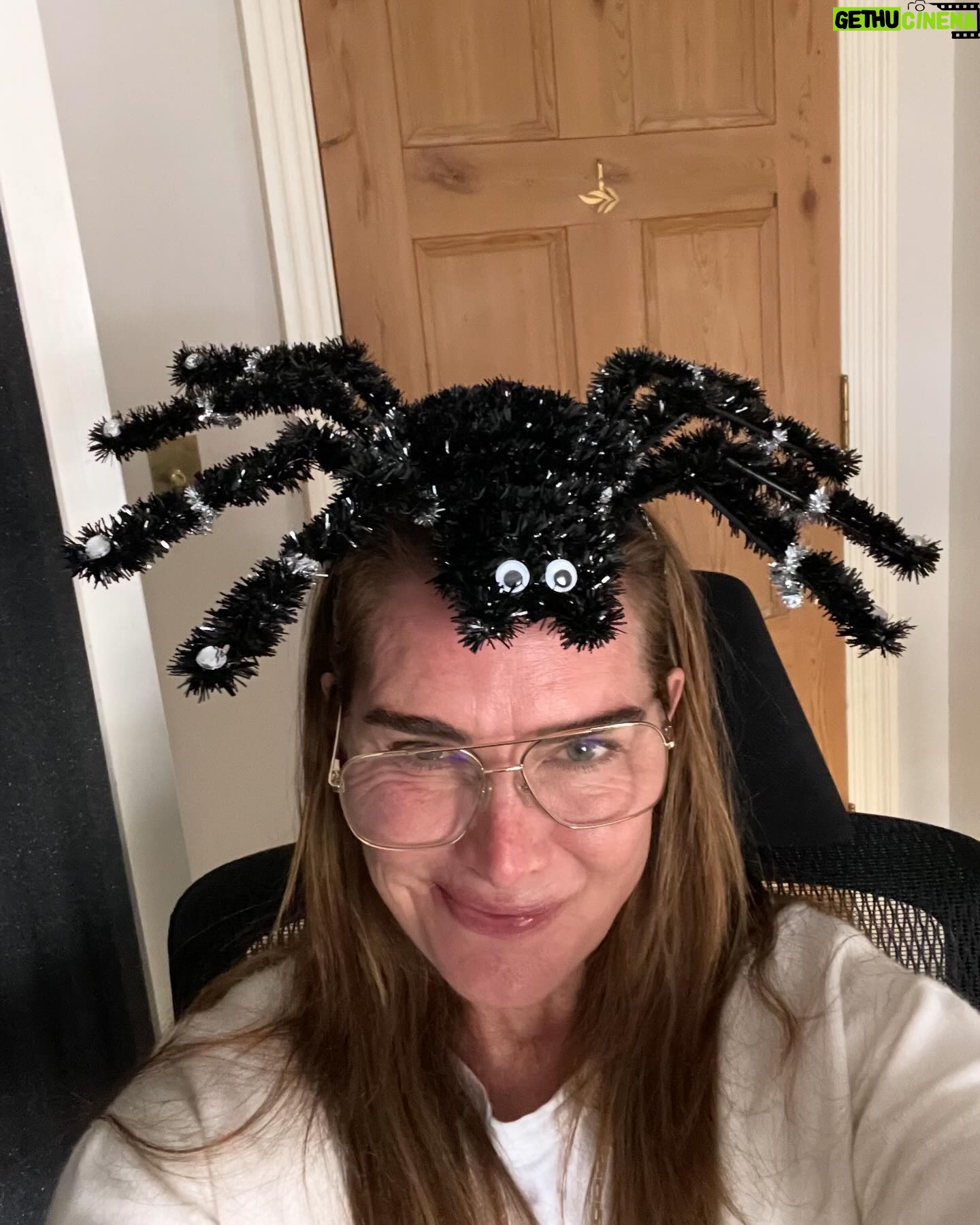 Brooke Shields Instagram - Happy Halloween!!! 🎃🕷️👻