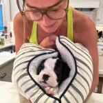 Brooke Shields Instagram – Lately… it’s mostly Tuzi ☀️🐾🍯💛