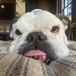 Brooklyn Decker Instagram - Our boy is home. Thank you @carecharlotte ❤️