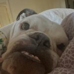 Brooklyn Decker Instagram – Tis the season of inspiration 💫
.
.
.
. 
And turmoil, unease, stress, devastation, but trying to look at all the inspiraaation 🫠