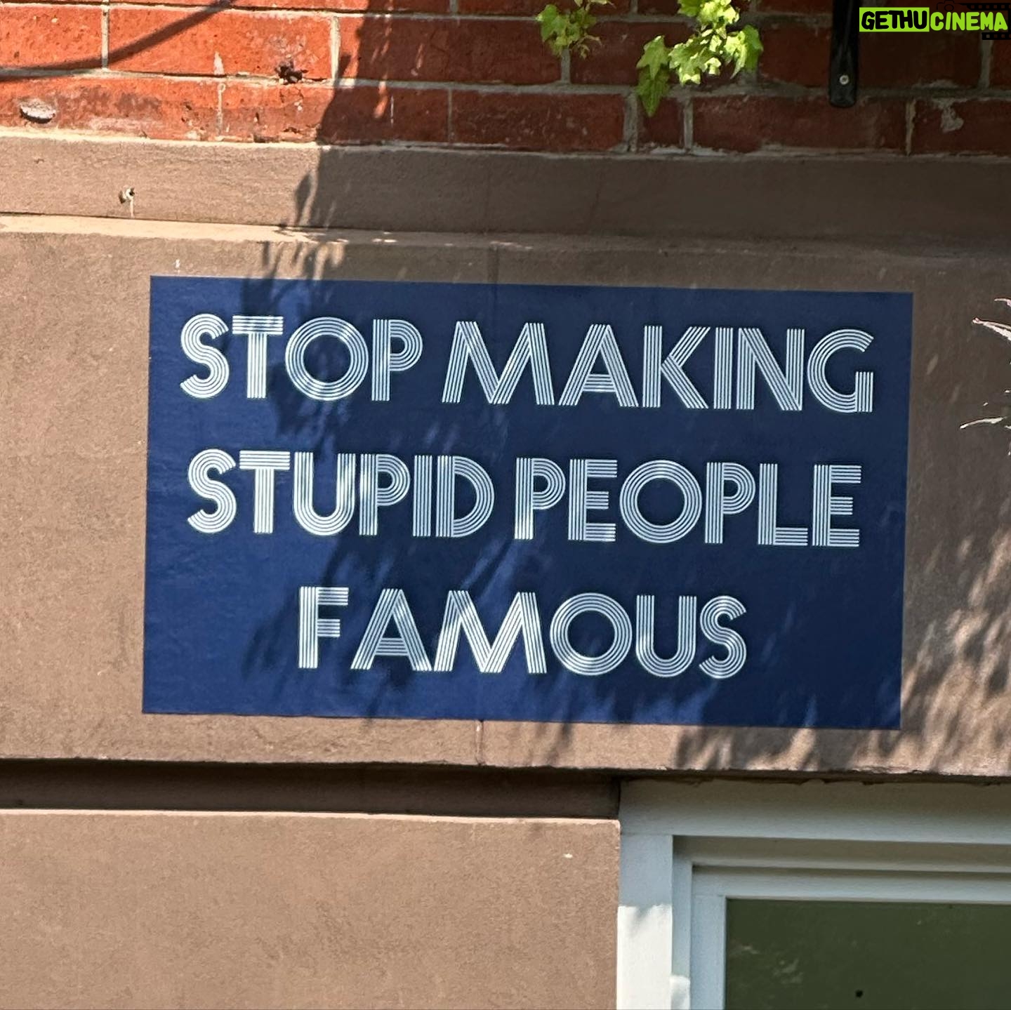 Brooklyn Decker Instagram - This stupid person agrees.