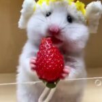 Bruna Lombardi Instagram – Amados, e o que a gente fala dessa carinha?

#animals
#love
#cute