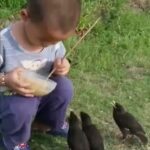 Bruna Lombardi Instagram – A delicadeza da alma se mostra em pequenos gestos. Beleza é isso.

#amor 
#birds 
#birdsofinstagram 
#animals