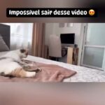 Bruna Lombardi Instagram - O que cria uma família são laços de amor... #animais #familia #amor
