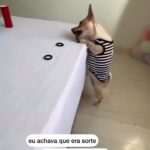 Bruna Lombardi Instagram - O Jogo é sofisticado né gente?