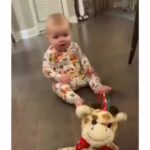 Bruna Lombardi Instagram – Essa legenda é pra vocês fazerem… rsrs

#diversão
#alegria
#babies