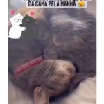 Bruna Lombardi Instagram – Quem mais tá assim nessa segunda?

#redefelicidade
#animals #cat