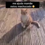 Bruna Lombardi Instagram – Olha só gente quem merece o Oscar de melhor atuação…