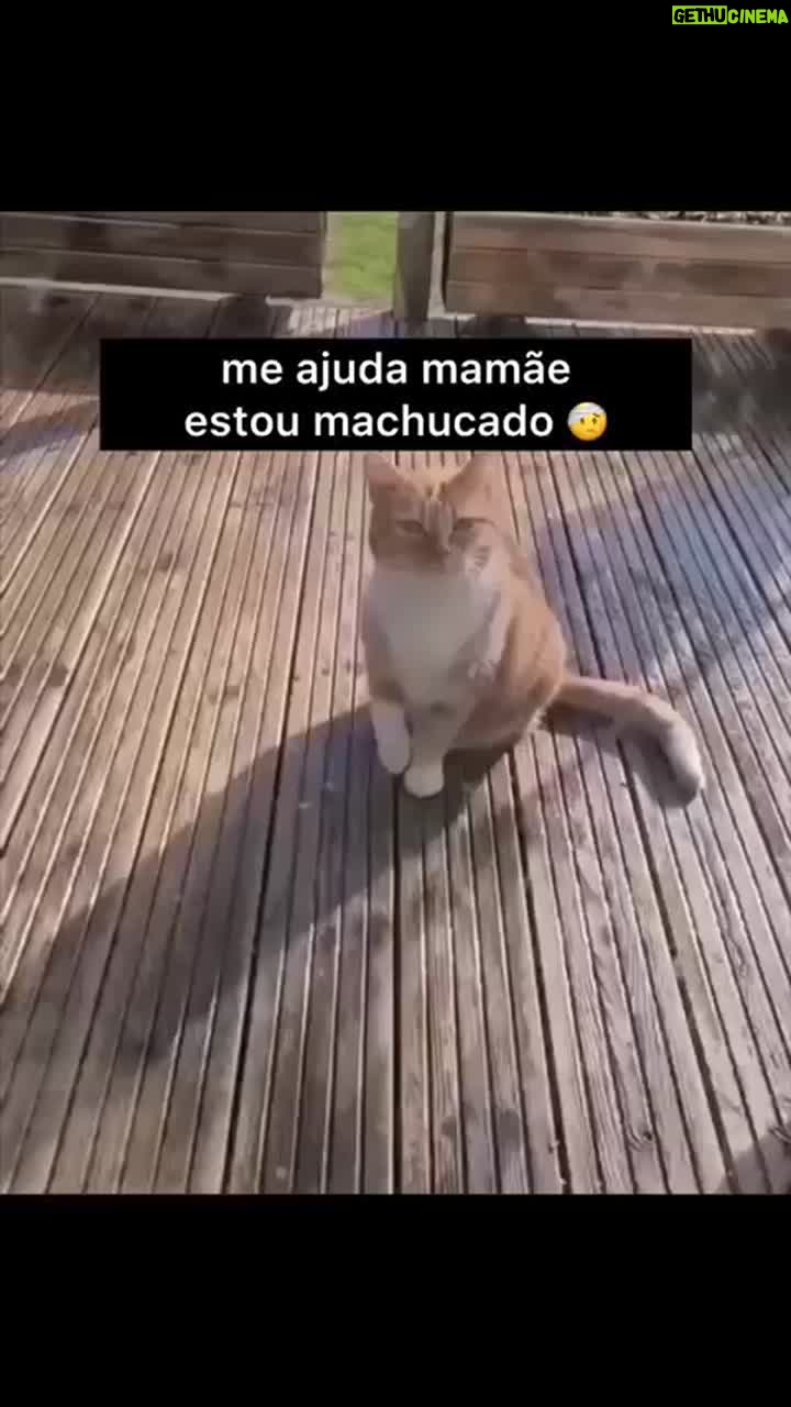 Bruna Lombardi Instagram - Olha só gente quem merece o Oscar de melhor atuação...