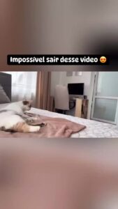 Bruna Lombardi Instagram - Laços de amor se formam. ❤️ #pet #fofo #caesegatos #caes #gatos #petlovers