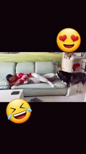 Bruna Lombardi Instagram - Esse lugar é meu!!!! Que delicia, gente!!! 

#amor
#carinho
#dogs