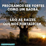 Bruna Lombardi Instagram - O Baobá é uma das maiores árvores e mais antigas do mundo. Para algumas culturas africanas, ela é sagrada e guarda histórias encantadoras. Vamos usar o Baobá como exemplo e fincar nossas raízes em valores que nos fortalecem, nossa fé, muito amor e solidariedade. Um beijo amados.