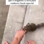 Bruna Lombardi Instagram – Gente olha só como esses bichinhos nos emocionam ❤️