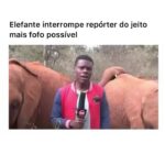Bruna Lombardi Instagram - Falando de ecossistema e acontece isso rsrs #animais #natureza #elefante