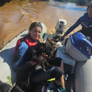 Bruna Lombardi Instagram - Gente, vamos seguir ajudando o nosso RS! A @deisefalci está fazendo um trabalho de super heroína! Ela já resgatou mais de 700 animais… em condições surreais e ela não desiste! Os bichos muitas vezes acabam sendo deixados pra trás ou se perdem e precisam muito da nossa ajuda ❤️ Quem puder doar algo, doe. A ajuda de cada um de nós faz uma diferença gigante!

Deise Falci de Castro
PIX: deisefalci@gmail.com