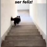 Bruna Lombardi Instagram - Dá pra ser feliz sozinho, né gente?