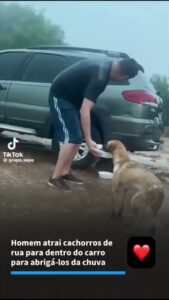 Bruna Lombardi Instagram - Ele alimenta muitos bichos de rua e os bichinhos agradecem. O Universo também. Via: @protetordotiktok #solidariedade #dogs #petslove #amor
