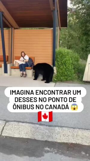 Bruna Lombardi Instagram - O que você faria?

#emoçoes
#calma
#sentimenros
#animals