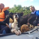 Bruna Lombardi Instagram - Gente, vamos seguir ajudando o nosso RS! A @deisefalci está fazendo um trabalho de super heroína! Ela já resgatou mais de 700 animais… em condições surreais e ela não desiste! Os bichos muitas vezes acabam sendo deixados pra trás ou se perdem e precisam muito da nossa ajuda ❤️ Quem puder doar algo, doe. A ajuda de cada um de nós faz uma diferença gigante! Deise Falci de Castro PIX: deisefalci@gmail.com