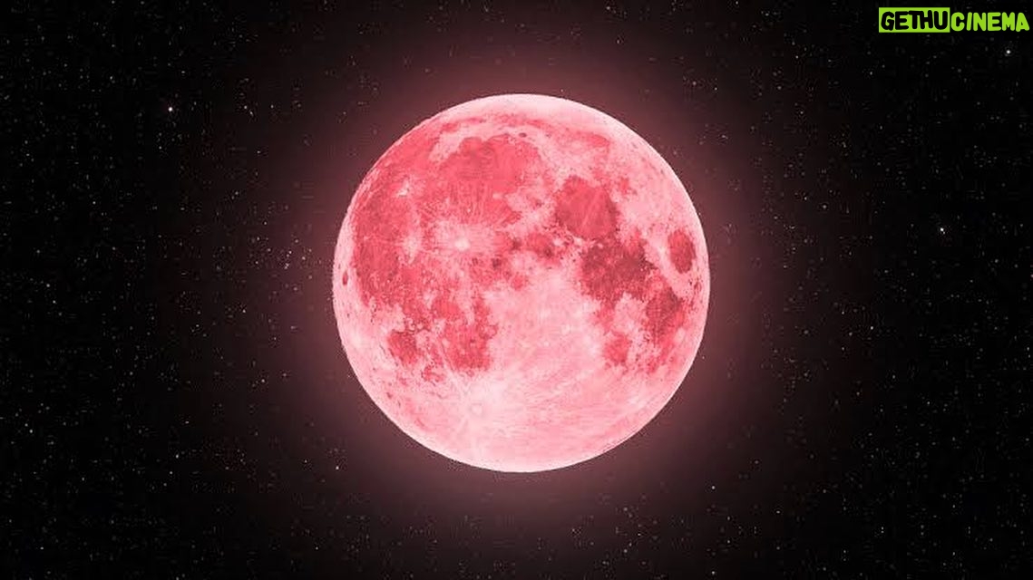 Bruna Lombardi Instagram - Amados, essa lua cheia é muito auspiciosa 🌕 Nessa época, muitas tradições ancestrais comemoram o Festival de Wesak que celebra a iluminação de Buda. E dizem que muitos Mestres e energias do bem se aproximam da Terra ❤️ Aproveitem para mentalizar coisas boas pra sua vida e pra todo planeta! Alguns chamam simbolicamente de Lua Cheia Rosa 💕 E ela está no signo de Escorpião, que traz ainda mais profundidade e transmutação. Vamos nos conectar ✨