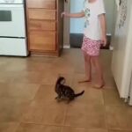 Bruna Lombardi Instagram – Crianças que crescem amando os animais são mais felizes.

#crianças
#felicidade
#alegria
