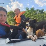 Bruna Lombardi Instagram - Gente, vamos seguir ajudando o nosso RS! A @deisefalci está fazendo um trabalho de super heroína! Ela já resgatou mais de 700 animais… em condições surreais e ela não desiste! Os bichos muitas vezes acabam sendo deixados pra trás ou se perdem e precisam muito da nossa ajuda ❤️ Quem puder doar algo, doe. A ajuda de cada um de nós faz uma diferença gigante! Deise Falci de Castro PIX: deisefalci@gmail.com