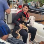 Bruna Lombardi Instagram - Gente, vamos seguir ajudando o nosso RS! A @deisefalci está fazendo um trabalho de super heroína! Ela já resgatou mais de 700 animais… em condições surreais e ela não desiste! Os bichos muitas vezes acabam sendo deixados pra trás ou se perdem e precisam muito da nossa ajuda ❤️ Quem puder doar algo, doe. A ajuda de cada um de nós faz uma diferença gigante! Deise Falci de Castro PIX: deisefalci@gmail.com