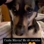 Bruna Lombardi Instagram – Alguem tá assim?

DM for credit
#carinho
#atencao
#petlovers