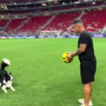 Bruna Lombardi Instagram – Treinando o campeão…
Via: dog_altinha

#redefelicidade
#esporte
#futebol
#animais