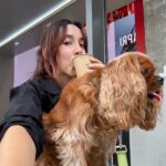 Bruna Vieira Instagram – Até que horas você pode tomar café sem perder o sono? Ontem eu falhei e tomei depois das 4, mas hoje vai dar certo. Passei o dia me arrastando de tanto sonoOoOoOoOo porque dormi mal. 

Em minha defesa, tem aconchego que só a cafeína e um carinho no nosso cachorro conseguem proporcionar ✌🏻💤