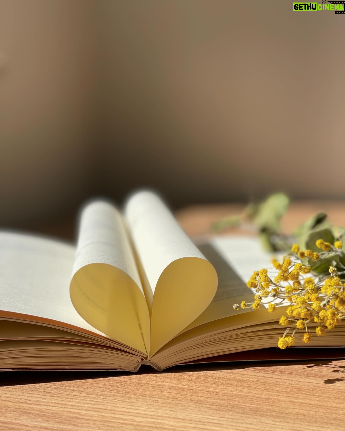 Bruna Vieira Instagram - O que a leitura do livro “Meu Corpo Virou Poesia” te ensinou?