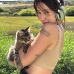 Bruna Vieira Instagram - Descobri a cura da alergia e ela consiste em levar todos os gatos da viagem pra minha casa