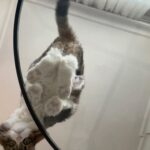 Buçe Buse Kahraman Instagram - say baştan🤓 1-hayat biraz da trafikte kiminle kaldığınla ilgiliydi 2-bi küçük miyuv meselesi 3-güzelsin istanbul 4-büyüteç ya da büyümeteç 5-ansızın yüzük falı bakılır 6-maşalar ve kıvrıkrıklar 7-şu etkinlik bilekliklerini damara kadar takma yağmur 8-hayat bazen 9-istediğimiz her an sevdiklerimizle olabilseydik mussmutlu olurduk 10-bu pozdan emin miydik ya