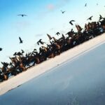 Burçin Terzioğlu Instagram - Biraz elem,biraz huşu gibi....