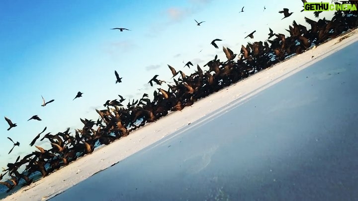 Burçin Terzioğlu Instagram - Biraz elem,biraz huşu gibi....